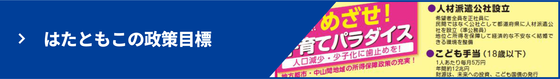 はたともこの政策目標